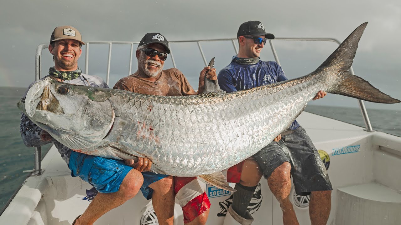 Carta de pesca de sábalo 